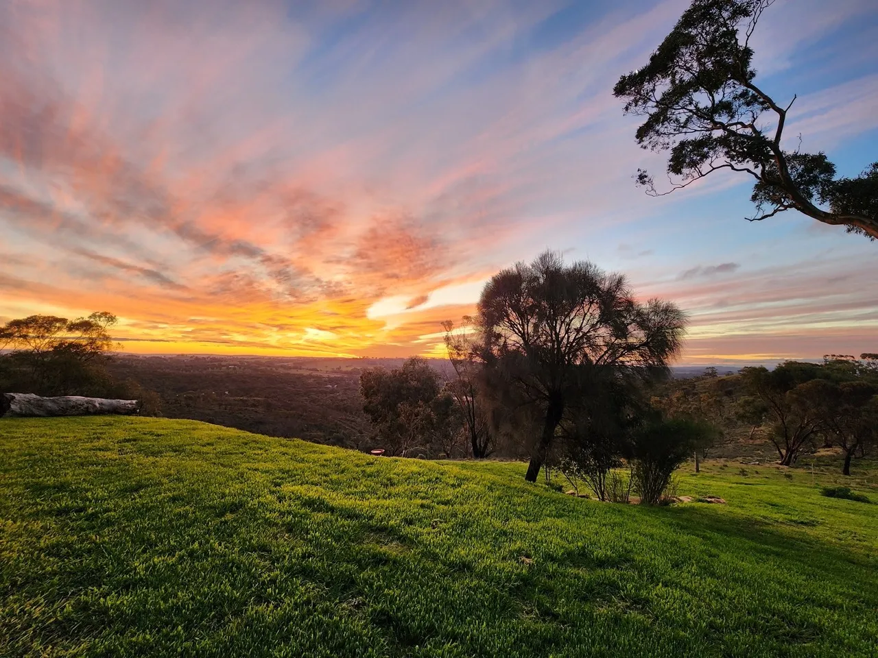 clare valley